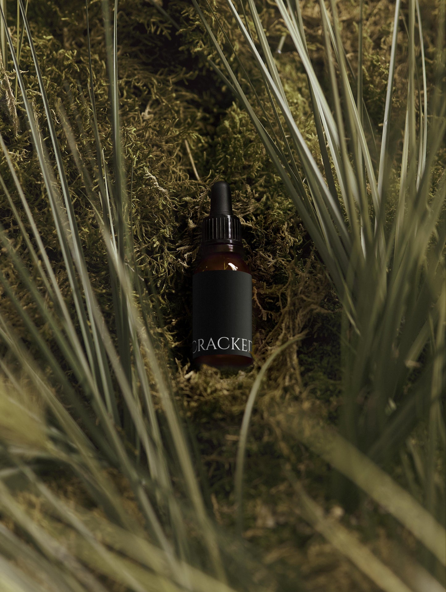 Cracked Beard Oil